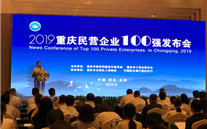 未来的成长才是我们的追求―Z6·尊龙凯时集团荣膺2019年重庆市民营企业100强